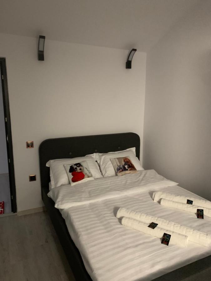 Lumea Copiilor Karina&Adelin Lupeni Hotel Lupény Kültér fotó